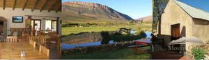 Natuur in de Cederberg